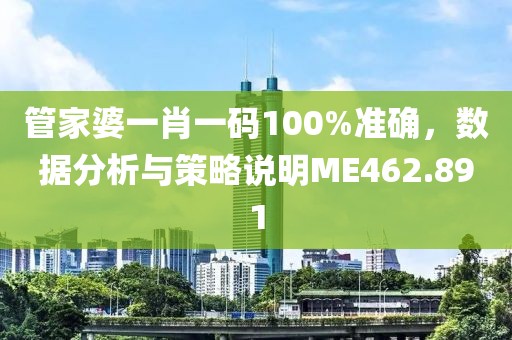 管家婆一肖一碼100%準確，數(shù)據(jù)分析與策略說明ME462.891