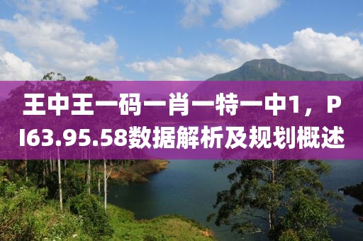 王中王一碼一肖一特一中1，PI63.95.58數(shù)據(jù)解析及規(guī)劃概述