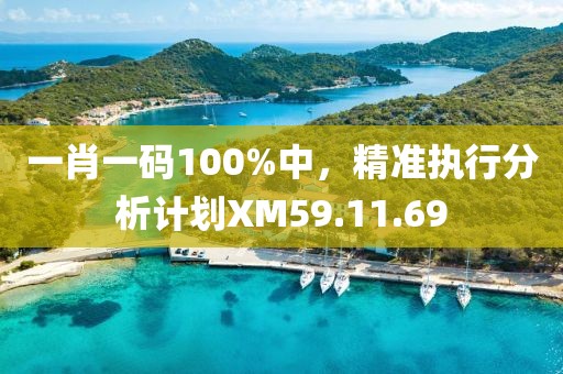 一肖一碼100%中，精準(zhǔn)執(zhí)行分析計劃XM59.11.69