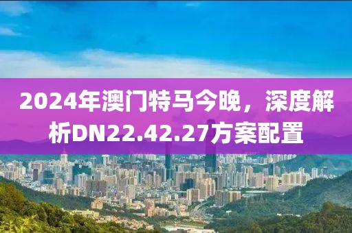 2024年澳門特馬今晚，深度解析DN22.42.27方案配置