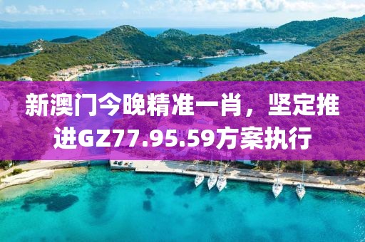 新澳門今晚精準(zhǔn)一肖，堅定推進GZ77.95.59方案執(zhí)行