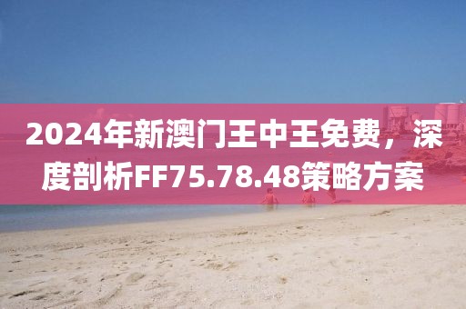 2024年新澳門王中王免費，深度剖析FF75.78.48策略方案