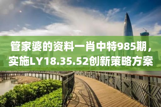 管家婆的資料一肖中特985期，實(shí)施LY18.35.52創(chuàng)新策略方案