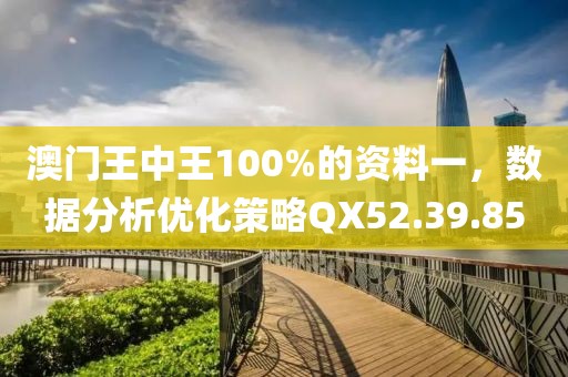 澳門王中王100%的資料一，數(shù)據(jù)分析優(yōu)化策略QX52.39.85