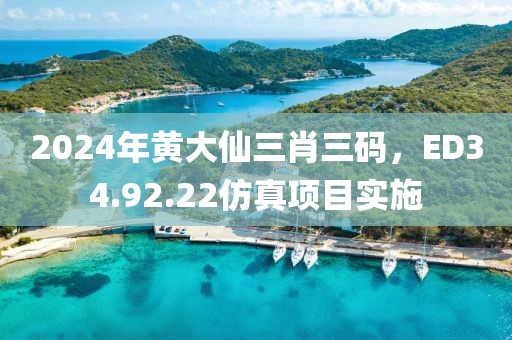 2024年黃大仙三肖三碼，ED34.92.22仿真項(xiàng)目實(shí)施