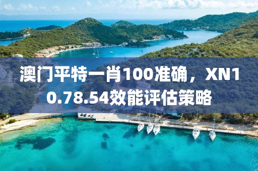 澳門平特一肖100準(zhǔn)確，XN10.78.54效能評(píng)估策略