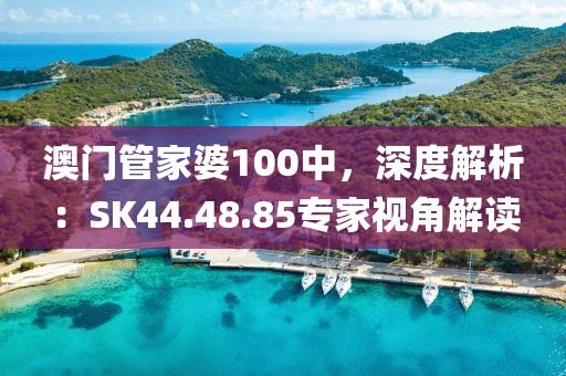 澳門管家婆100中，深度解析：SK44.48.85專家視角解讀