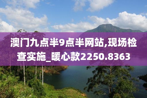 澳門九點半9點半網(wǎng)站,現(xiàn)場檢查實施_暖心款2250.8363