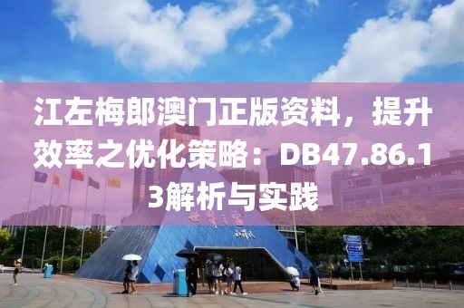 江左梅郎澳門正版資料，提升效率之優(yōu)化策略：DB47.86.13解析與實踐