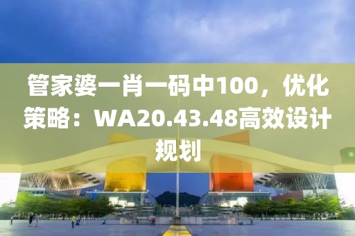 管家婆一肖一碼中100，優(yōu)化策略：WA20.43.48高效設(shè)計規(guī)劃