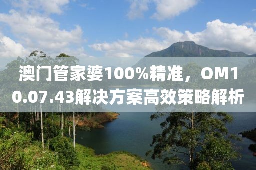 澳門管家婆100%精準，OM10.07.43解決方案高效策略解析