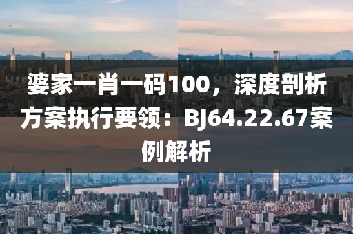 婆家一肖一碼100，深度剖析方案執(zhí)行要領(lǐng)：BJ64.22.67案例解析