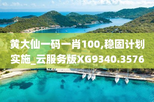 黃大仙一碼一肖100,穩(wěn)固計劃實施_云服務(wù)版XG9340.3576