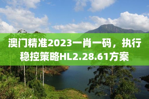 澳門(mén)精準(zhǔn)2023一肖一碼，執(zhí)行穩(wěn)控策略HL2.28.61方案