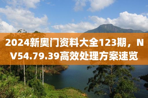 2024新奧門資料大全123期，NV54.79.39高效處理方案速覽