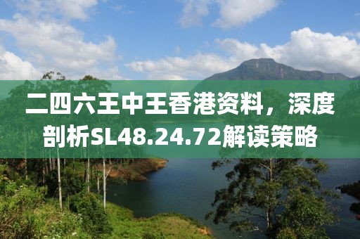 二四六王中王香港資料，深度剖析SL48.24.72解讀策略