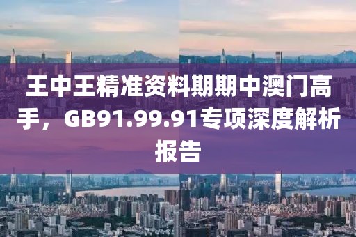 王中王精準資料期期中澳門高手，GB91.99.91專項深度解析報告