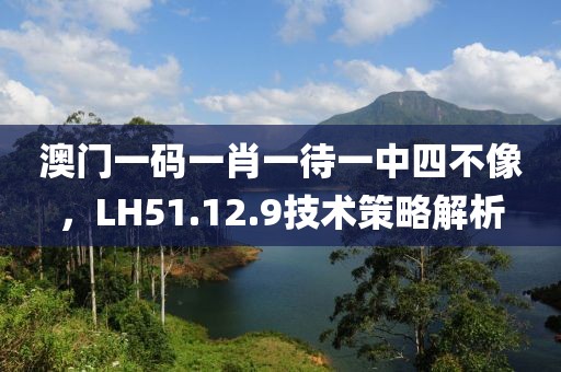 澳門一碼一肖一待一中四不像，LH51.12.9技術(shù)策略解析