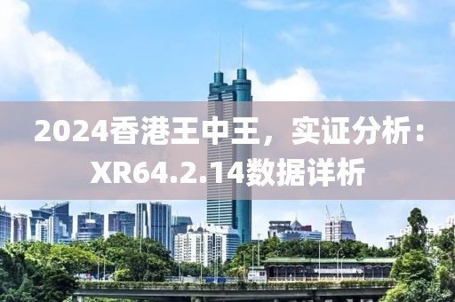 2024香港王中王，實(shí)證分析：XR64.2.14數(shù)據(jù)詳析