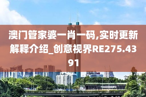 澳門管家婆一肖一碼,實時更新解釋介紹_創(chuàng)意視界RE275.4391