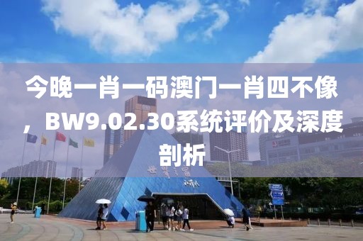 今晚一肖一碼澳門一肖四不像，BW9.02.30系統(tǒng)評價及深度剖析