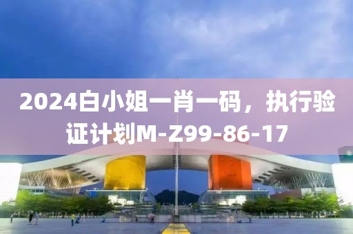 2024白小姐一肖一碼，執(zhí)行驗(yàn)證計(jì)劃M-Z99-86-17