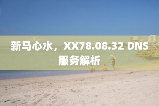 新馬心水，XX78.08.32 DNS服務(wù)解析