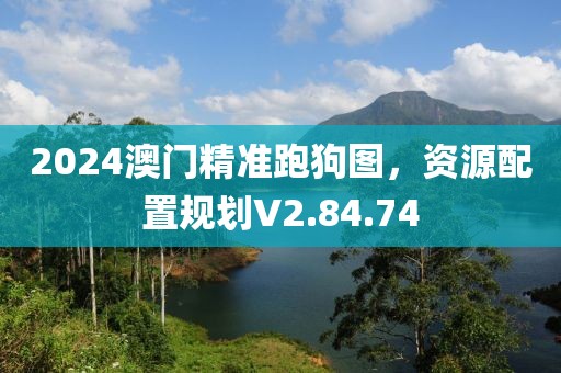 2024澳門精準(zhǔn)跑狗圖，資源配置規(guī)劃V2.84.74