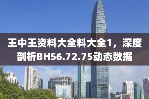 王中王資料大全料大全1，深度剖析BH56.72.75動態(tài)數(shù)據(jù)