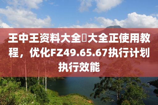 王中王資料大全枓大全正使用教程，優(yōu)化FZ49.65.67執(zhí)行計劃執(zhí)行效能