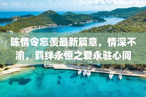 陳情令忘羨最新篇章，情深不渝，羈絆永恒之愛(ài)永駐心間