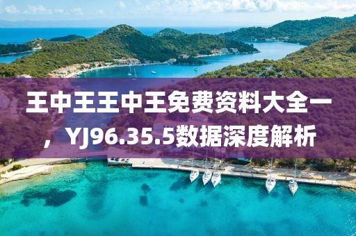 王中王王中王免費(fèi)資料大全一，YJ96.35.5數(shù)據(jù)深度解析