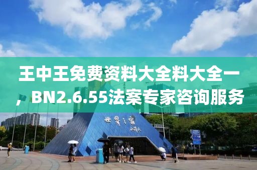 王中王免費資料大全料大全一，BN2.6.55法案專家咨詢服務(wù)