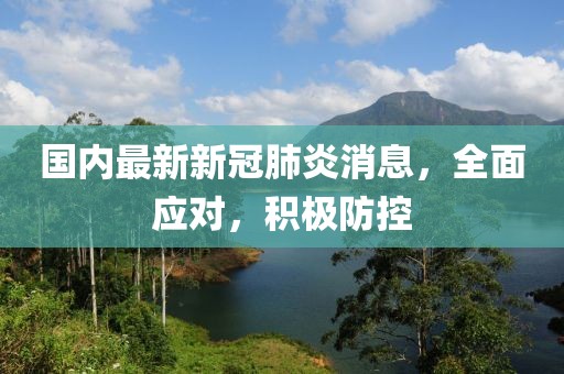 國內(nèi)最新新冠肺炎消息，全面應(yīng)對，積極防控