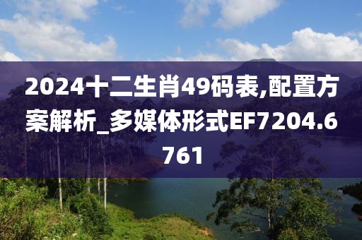 2024十二生肖49碼表,配置方案解析_多媒體形式EF7204.6761