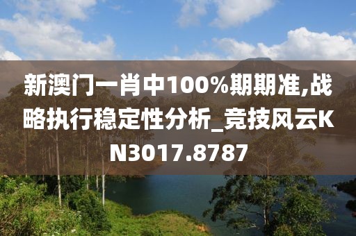 新澳門一肖中100%期期準,戰(zhàn)略執(zhí)行穩(wěn)定性分析_競技風云KN3017.8787