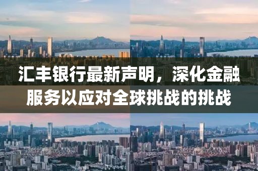 匯豐銀行最新聲明，深化金融服務以應對全球挑戰(zhàn)的挑戰(zhàn)