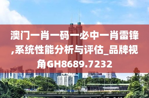 澳門一肖一碼一必中一肖雷鋒,系統(tǒng)性能分析與評估_品牌視角GH8689.7232