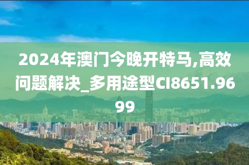 2024年澳門(mén)今晚開(kāi)特馬,高效問(wèn)題解決_多用途型CI8651.9699