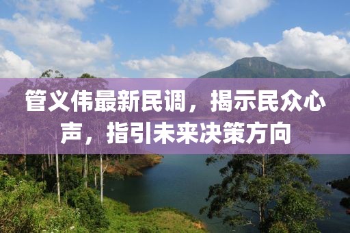 管義偉最新民調(diào)，揭示民眾心聲，指引未來決策方向