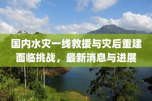 國內(nèi)水災(zāi)一線救援與災(zāi)后重建面臨挑戰(zhàn)，最新消息與進展