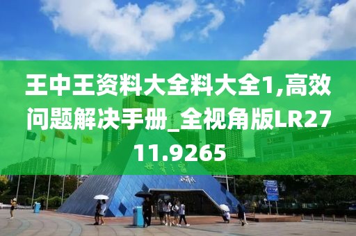 王中王資料大全料大全1,高效問題解決手冊_全視角版LR2711.9265