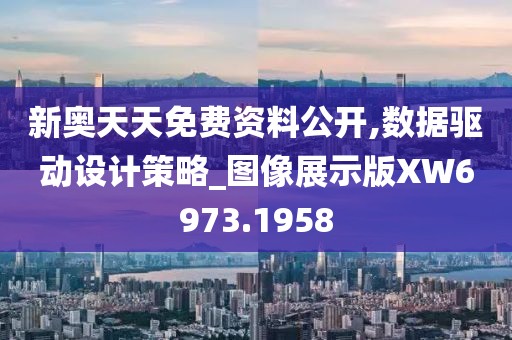 新奧天天免費資料公開,數(shù)據(jù)驅(qū)動設(shè)計策略_圖像展示版XW6973.1958