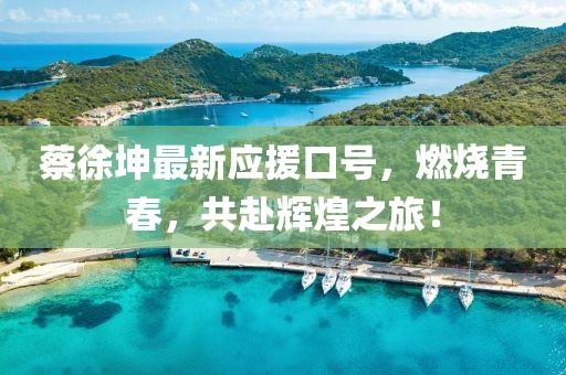 蔡徐坤最新應(yīng)援口號，燃燒青春，共赴輝煌之旅！