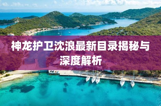 神龍護(hù)衛(wèi)沈浪最新目錄揭秘與深度解析