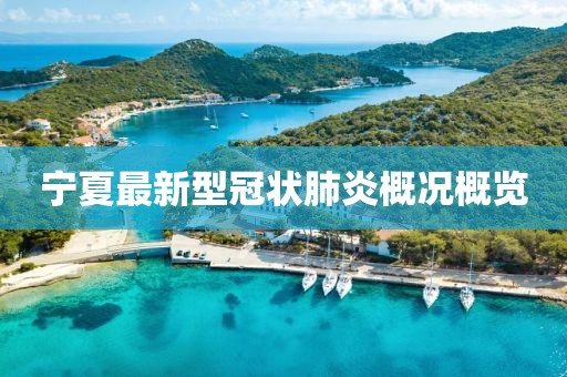 寧夏最新型冠狀肺炎概況概覽