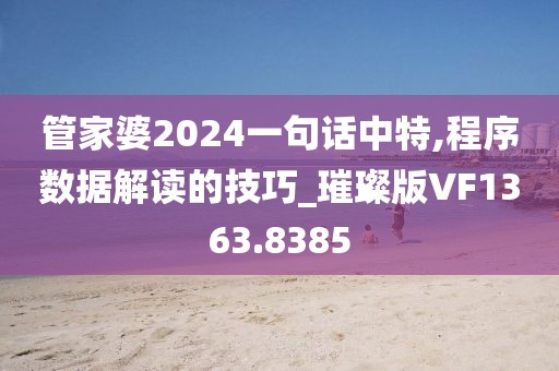 管家婆2024一句話中特,程序數(shù)據(jù)解讀的技巧_璀璨版VF1363.8385