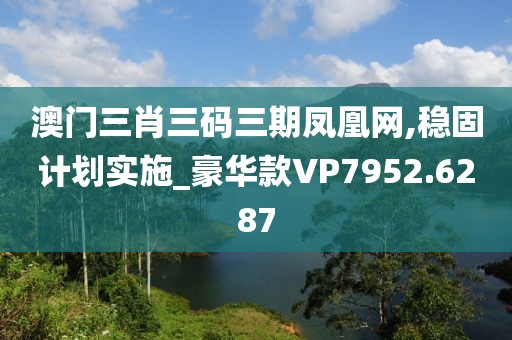 澳門三肖三碼三期鳳凰網,穩(wěn)固計劃實施_豪華款VP7952.6287