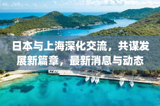 日本與上海深化交流，共謀發(fā)展新篇章，最新消息與動(dòng)態(tài)