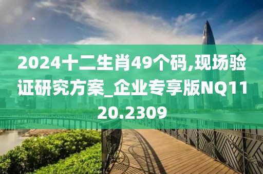 2024十二生肖49個碼,現(xiàn)場驗證研究方案_企業(yè)專享版NQ1120.2309